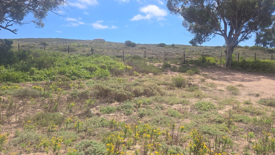 0 Bedroom Property for Sale in St Helena Views Western Cape